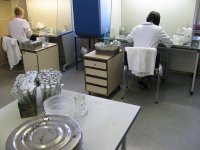 In vitro technicians at work